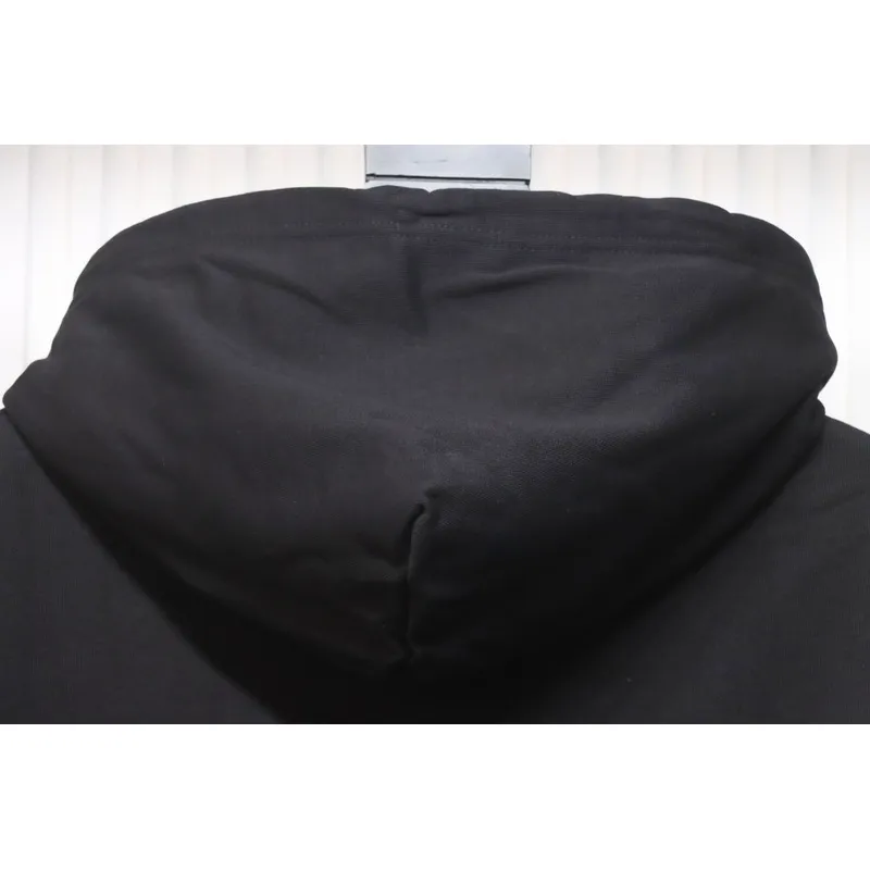 Balencigia Hoodie Free Shipping 08