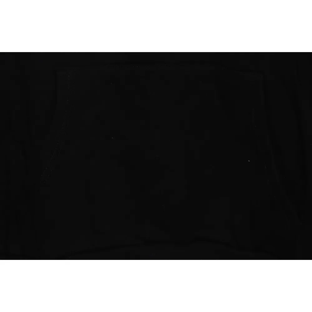 Balencigia Hoodie Free Shipping 13