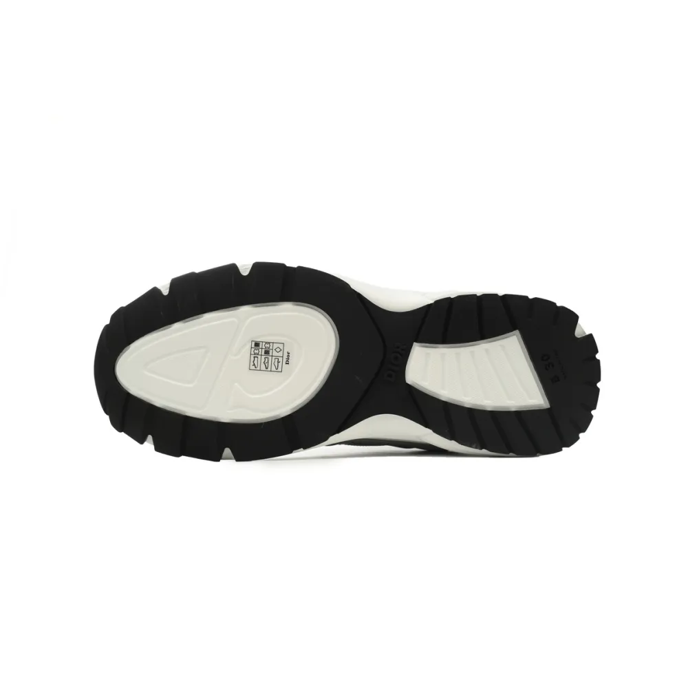 Dior B30 Sneakers – White/Grey