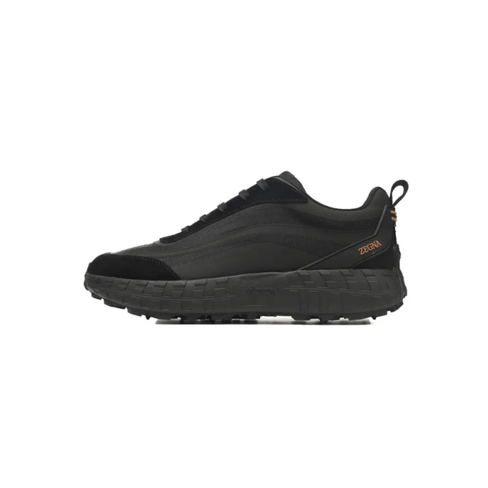 Zegna Dark Black