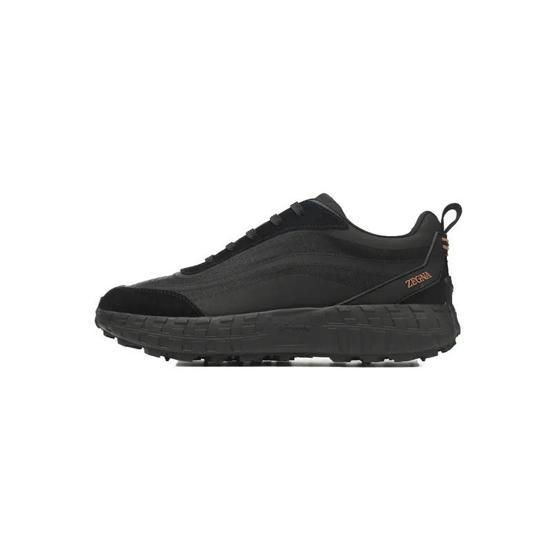 Zegna Dark Black