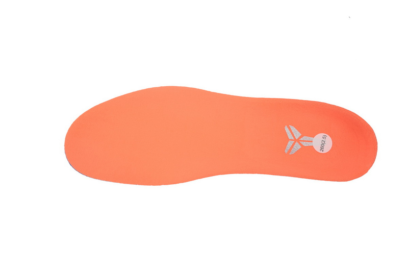 Nike Zoom Kobe 6 Protro 'WNBA'