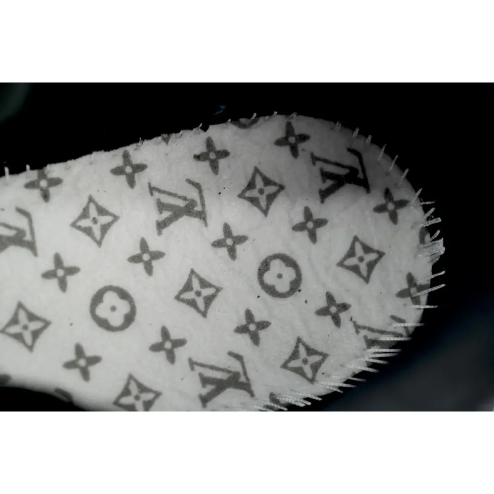 Louis Vuitton Black