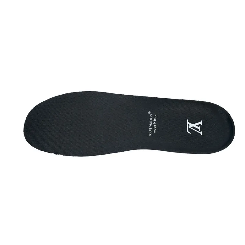Louis Vuitton Black