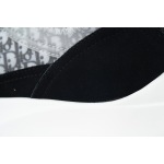DIOR B25 – Black White