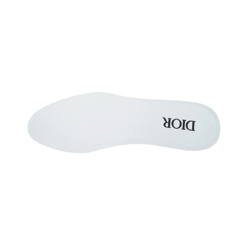 DIOR B25 – Black White