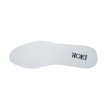 DIOR B25 – White
