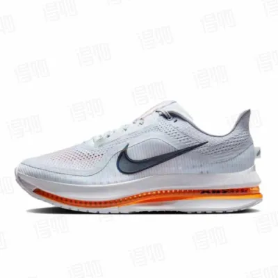 Air Zoom Pegasus Premium 'Airscape' 01