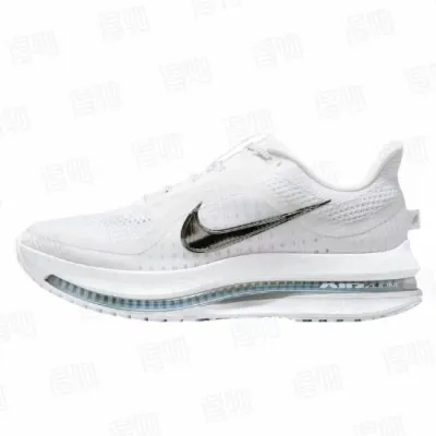 Air Zoom Pegasus Premium 'White Metallic Silver' 01