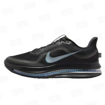 Air Zoom Pegasus Premium 'Black Metallic Silver' 01