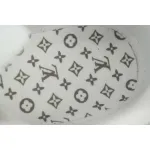 Louis Vuitton Beige 