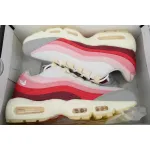 Air Max 95 'Anatomy Of Air'
