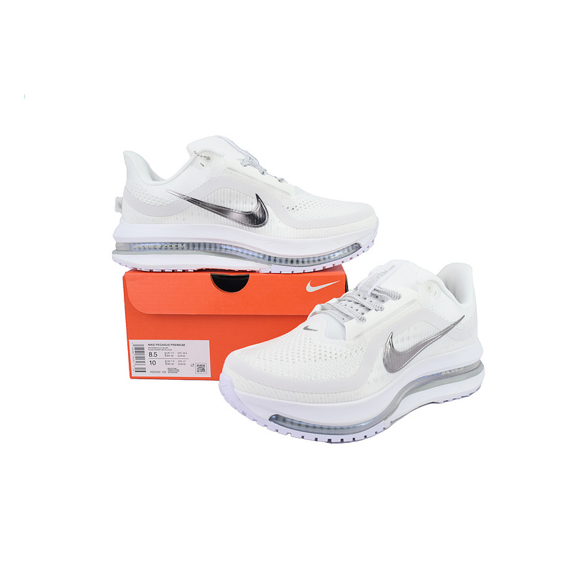 Air Zoom Pegasus Premium 'White Metallic Silver'
