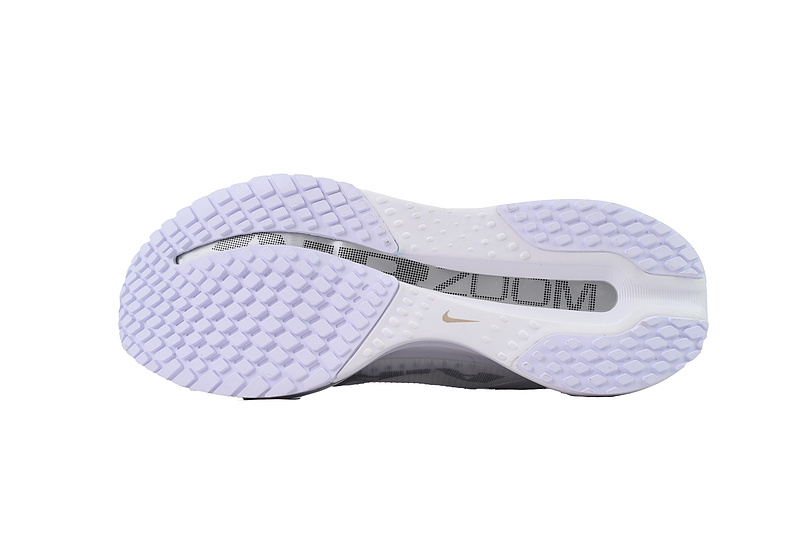 Air Zoom Pegasus Premium 'White Metallic Silver'