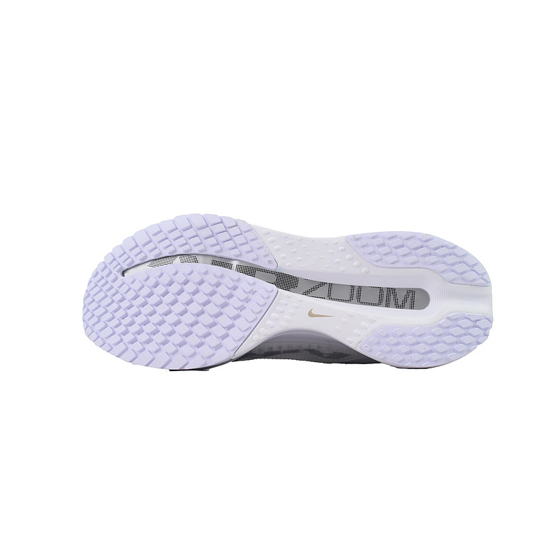 Air Zoom Pegasus Premium 'White Metallic Silver'