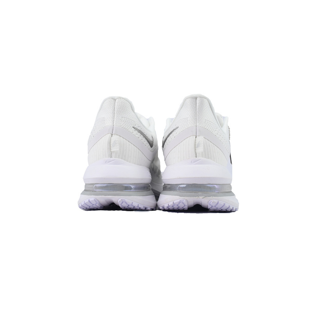 Air Zoom Pegasus Premium 'White Metallic Silver'