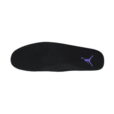   DJ  CT8812-999 Air Jordan 11 Retro Blackish Purple 02