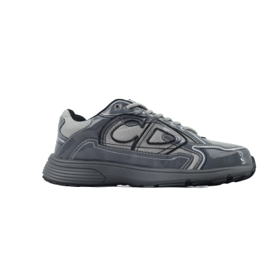 Dior 'B30' Sneakers Gray-1 02
