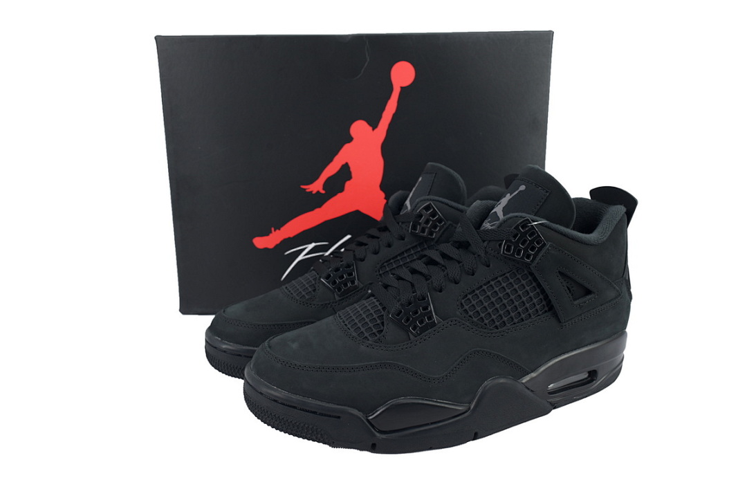 Air Jordan 4“Black Cat”-1
