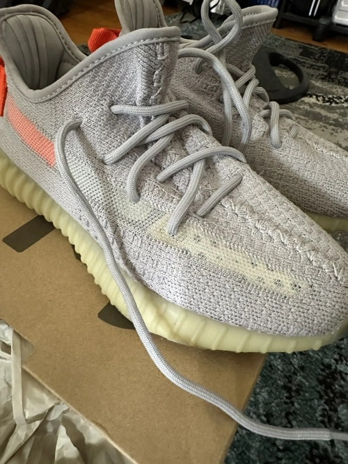 Adidas Yeezy Boost 350 V2 Tail Light review 