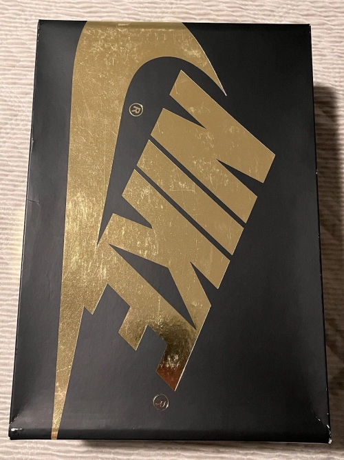 Nike Air Jordan 1 High OG Palomino review 