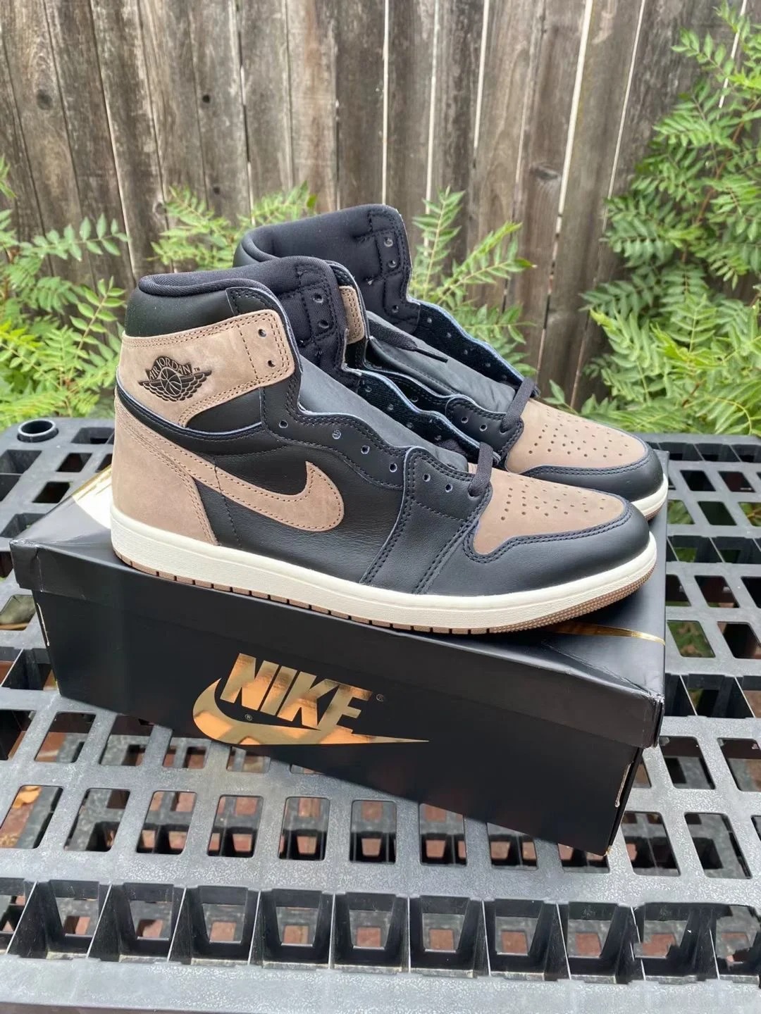 Nike Air Jordan 1 High OG Palomino review Ky 02