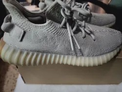 Adidas Yeezy Boost 350 V2 Sesame review Rogers Cooper 02