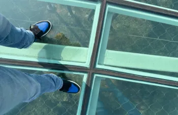  Air Jordan 1 Retro Royal review James Howard