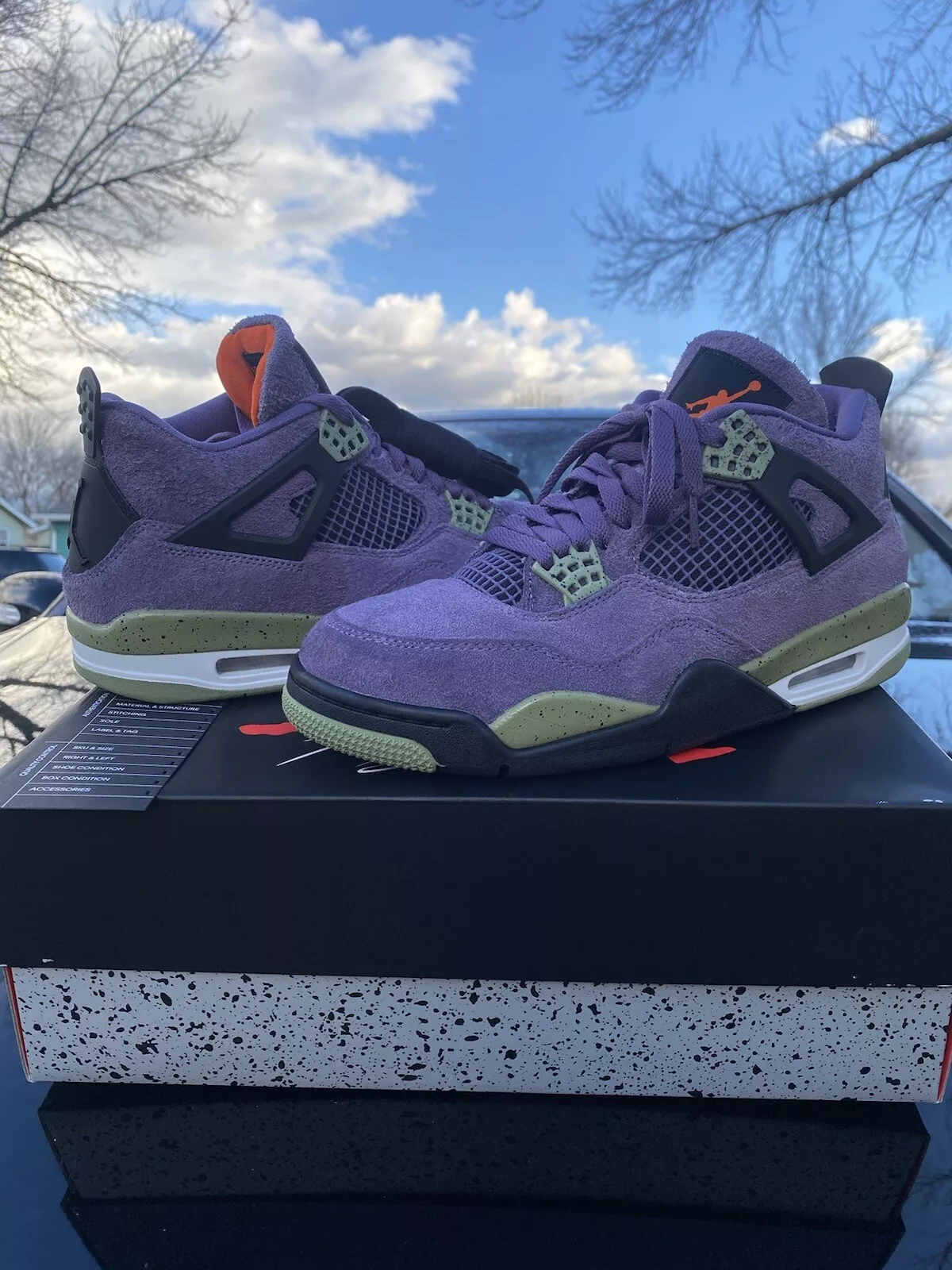 Q4 Batch Air Jordan 4 Retro Canyon Purple review Heather L 03