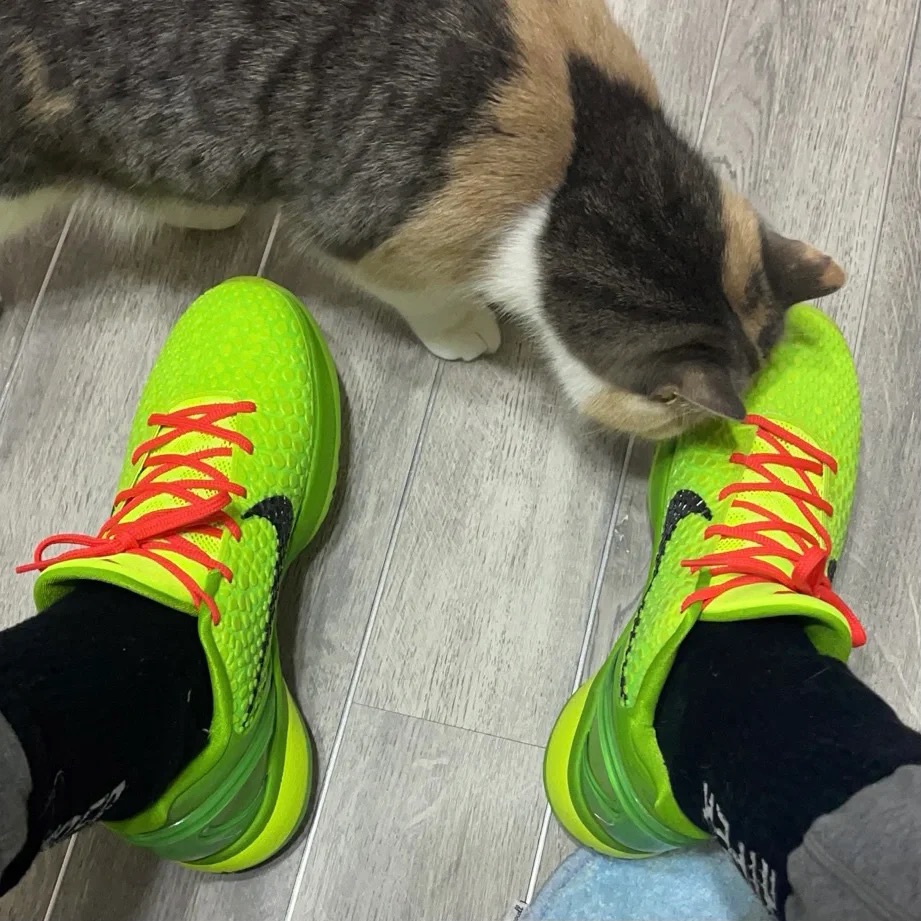 Nike Kobe 6 Protro “Grinch” review 0