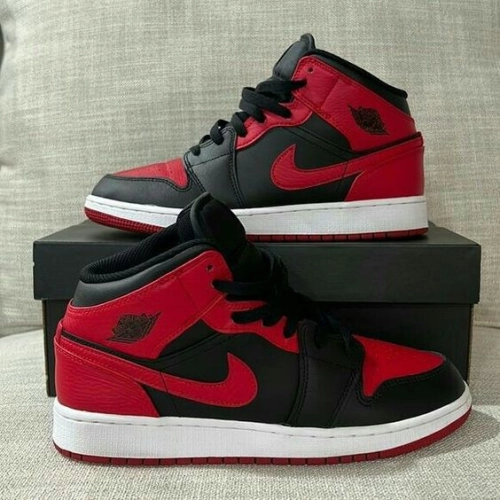 Air Jordan 1 High 'Banned' review 