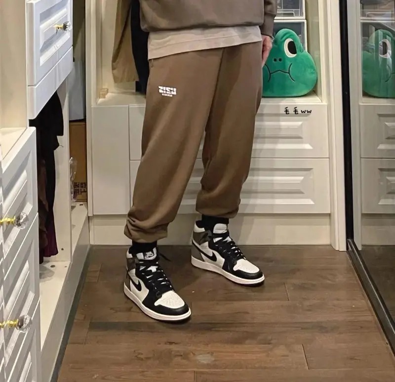 Air Jordan 1 Retro High OG Dark Mocha review Ellis 01