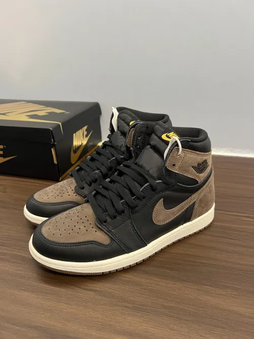 OG Air Jordan 1 High OG Palomino review 