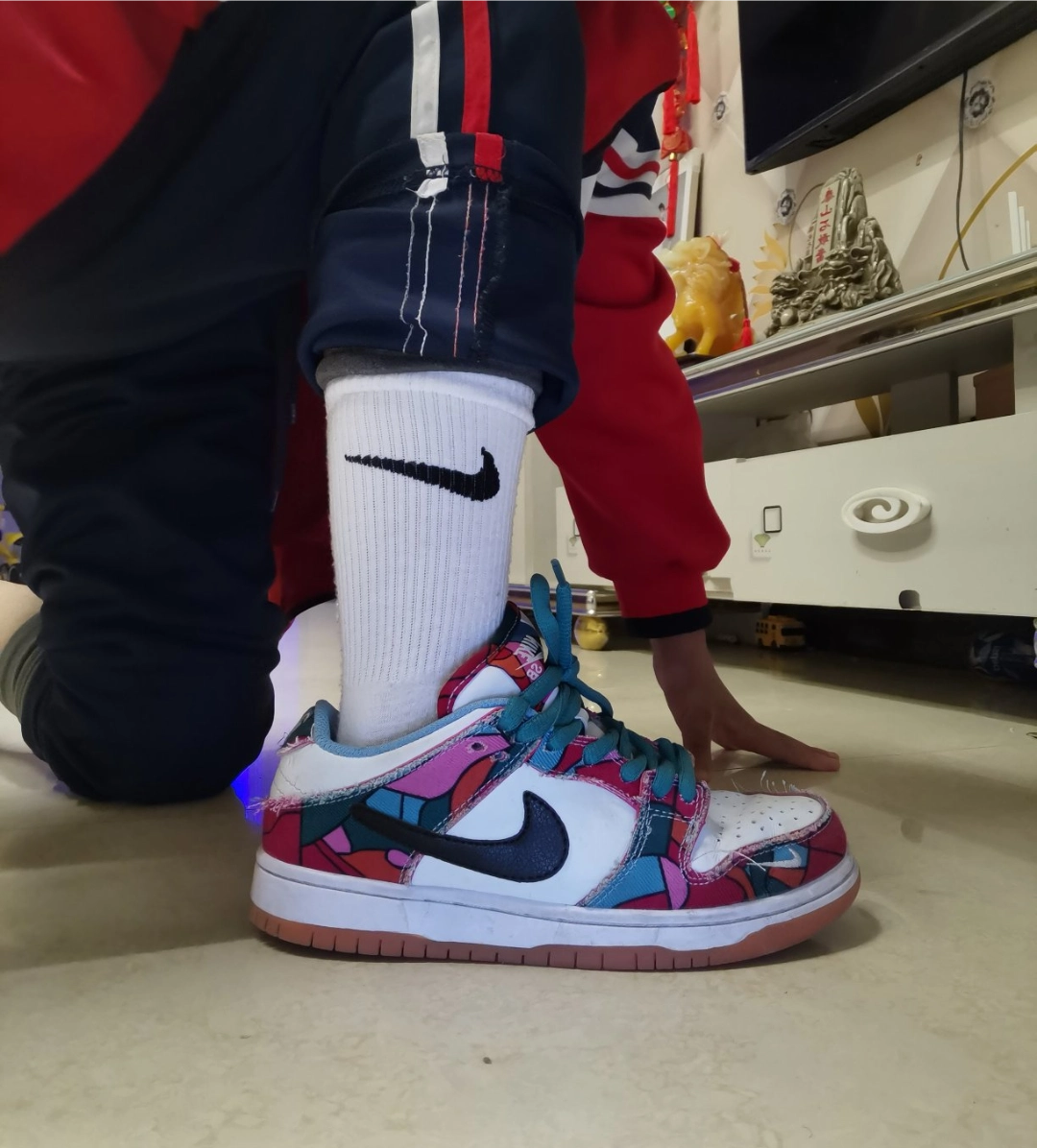  LF Parra x Nike SB Dunk Low Pro QS Abstract Art review Anusdy
