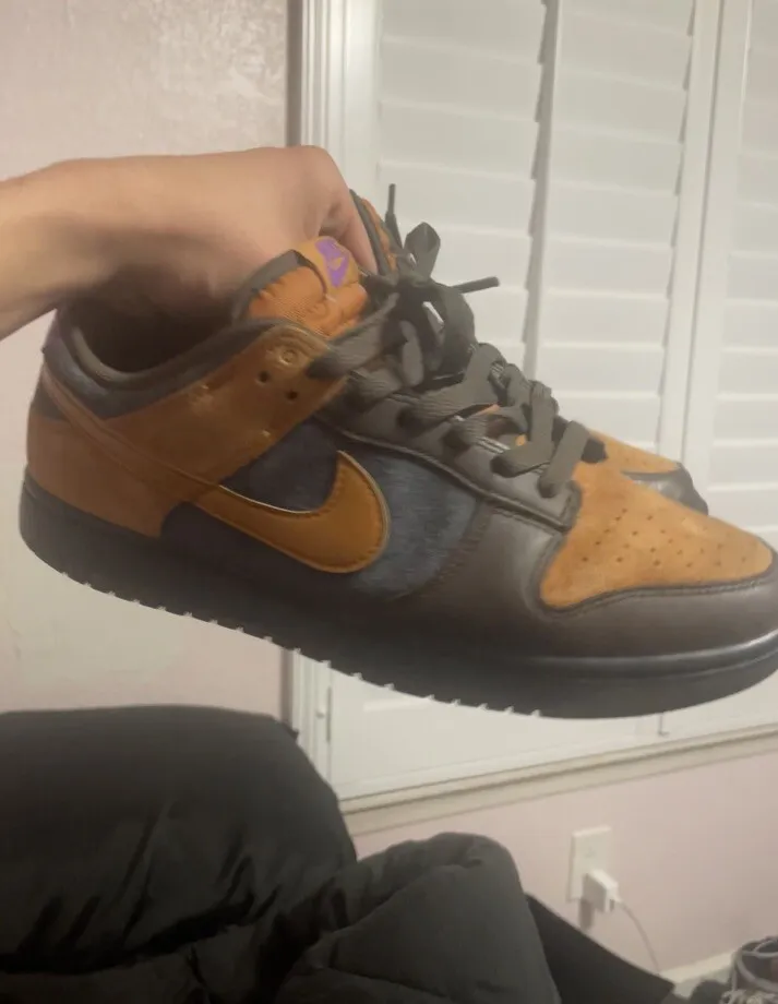 LF  Nike Dunk CiDer review Tony 01