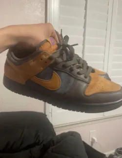 LF  Nike Dunk CiDer review Tony 01