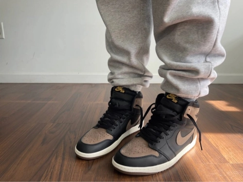 XP  Air Jordan 1 High OG “Palomino” review 