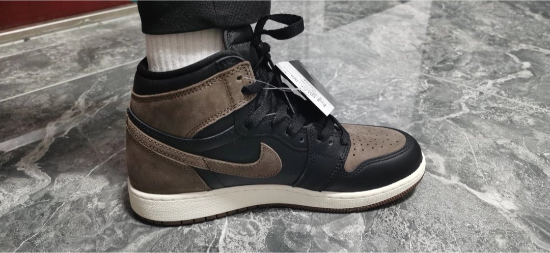 XP  Air Jordan 1 High OG “Palomino” review Holly