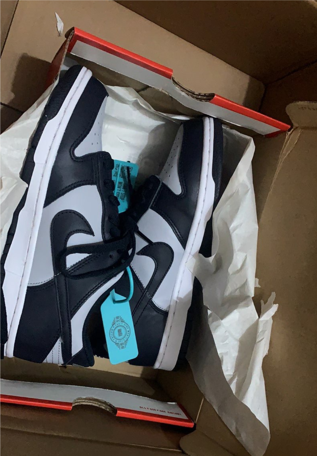 LF Nike Dunk Low Grorgetown review Patricia herrera 01