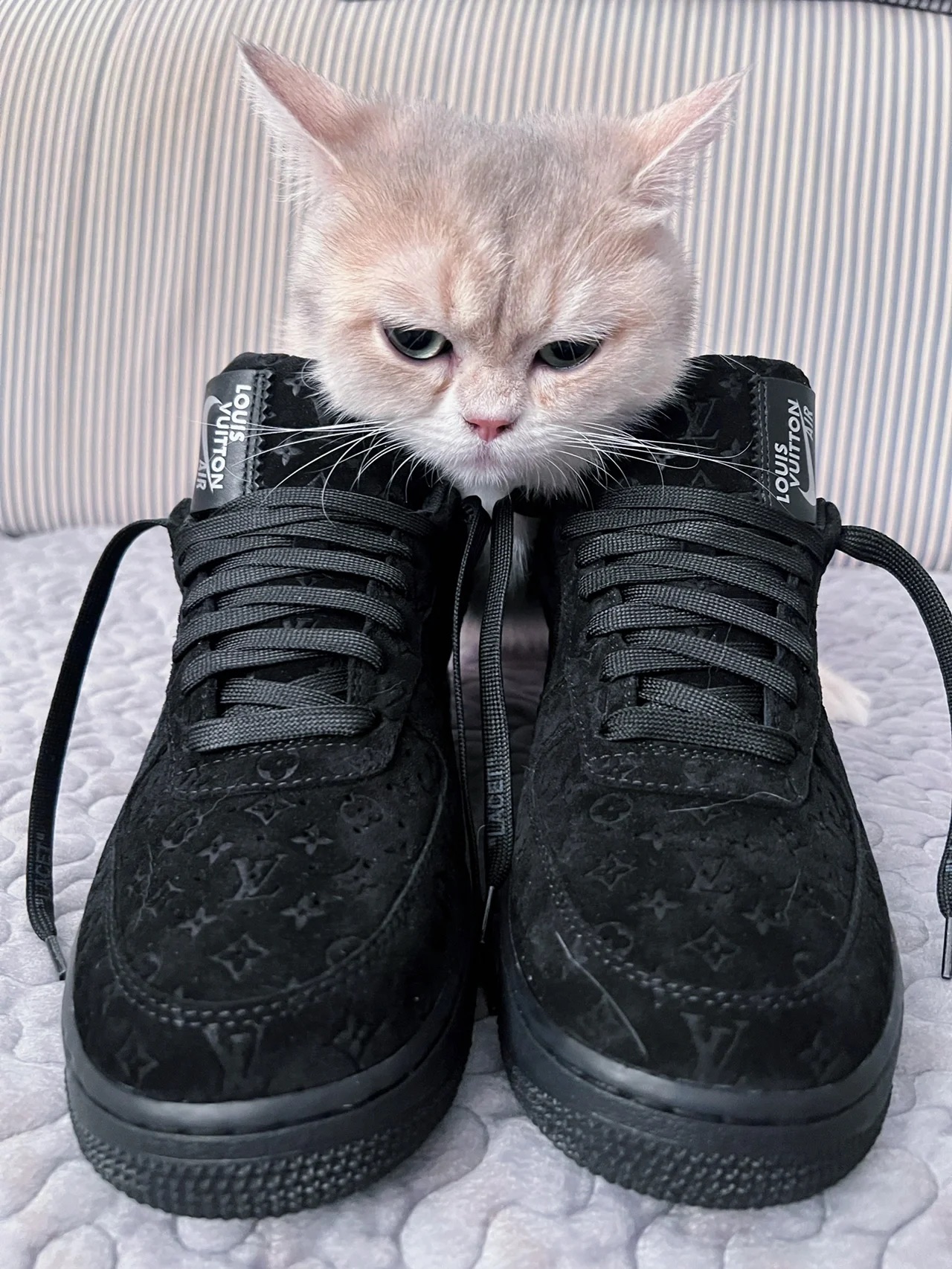 Louis Vuitton x Nike Air Force 1 All Black review James mp