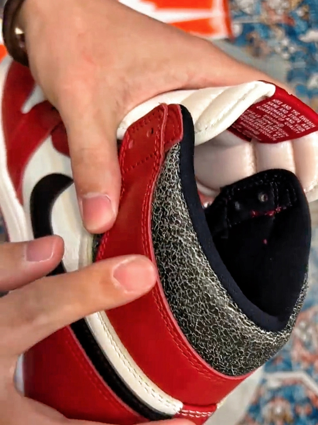 XP  Air Jordan 1 High Chicago Reimagined review Dana 01