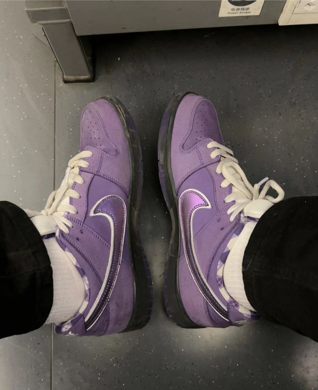 SX Nike SB Dunk Low Pro OG QS Purple Lobster review Bruce Crumpler