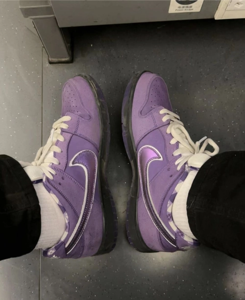 SX Nike SB Dunk Low Pro OG QS Purple Lobster review 
