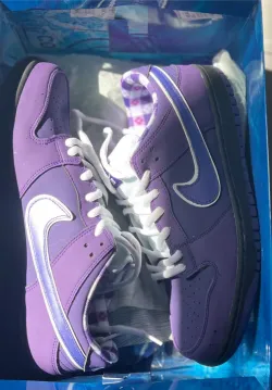 SX Nike SB Dunk Low Pro OG QS Purple Lobster review ari 01