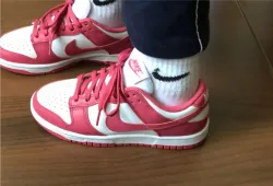 LF Nike Dunk Low Archeo Pink White review Amiy