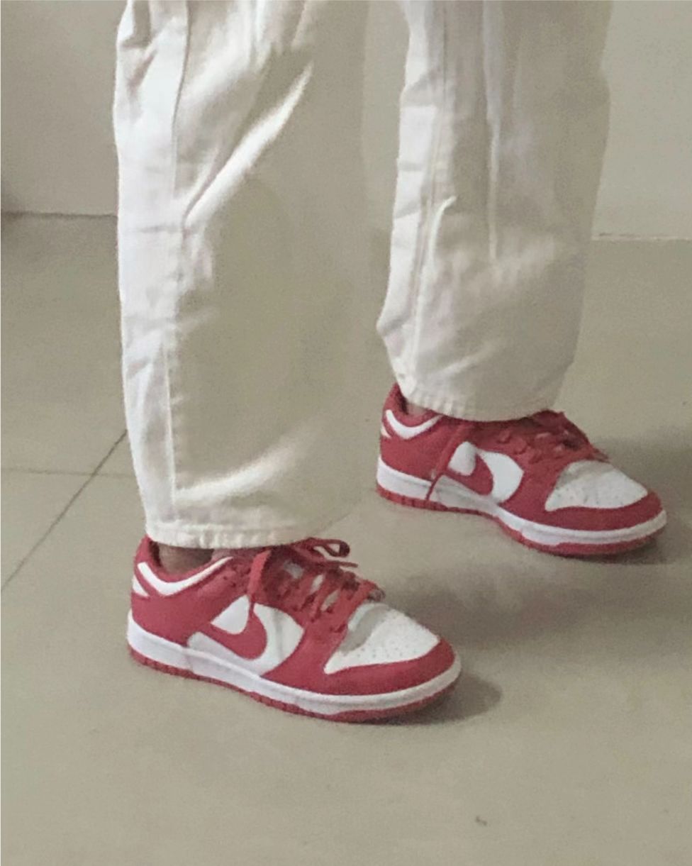 LF Nike Dunk Low Archeo Pink White review Teni