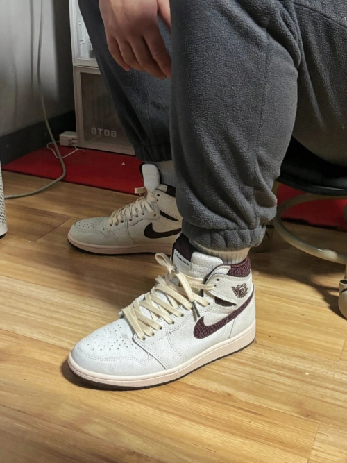  XP  Air Jordan 1 High OG Grey Brown Snake Pattern review 