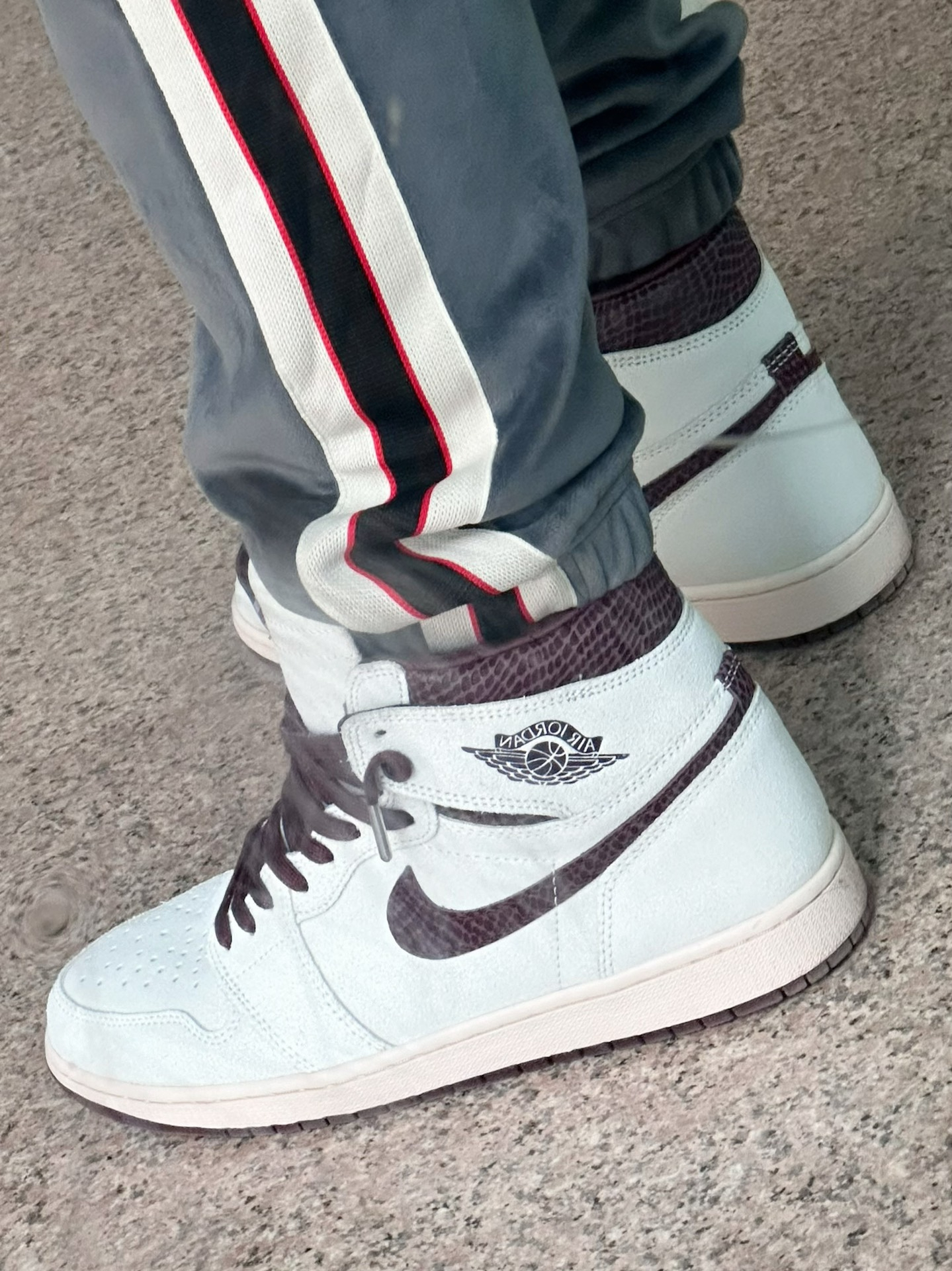  XP  Air Jordan 1 High OG Grey Brown Snake Pattern review Ian 03