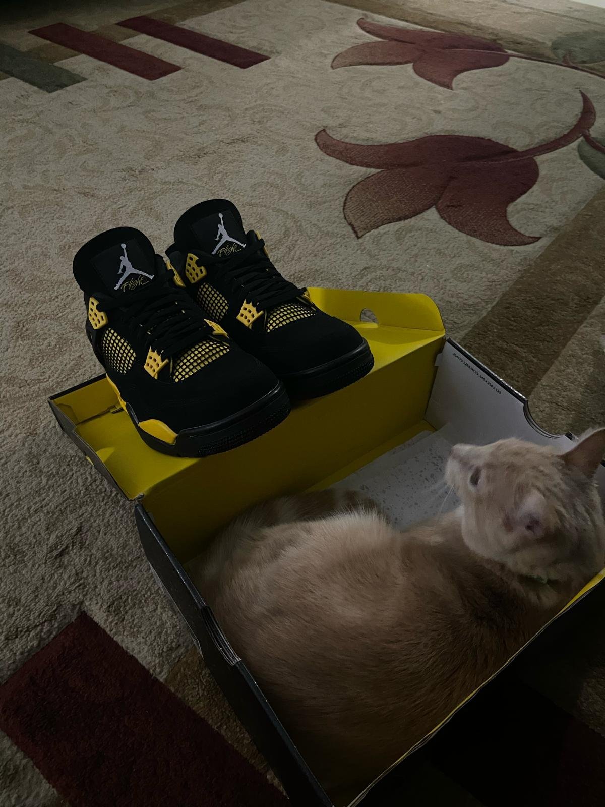 OG Batch Air Jordan 4 Thunder review maria del mar