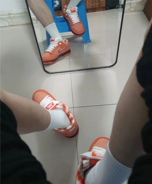 OG Concepts x Nike SB Dunk Low “Orange Lobster” review 
